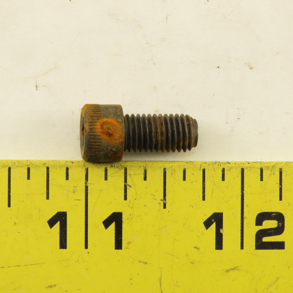 1/4"-28 x 1/2" Socket Head Cap Screw Bolt SHCS Lot Of 200