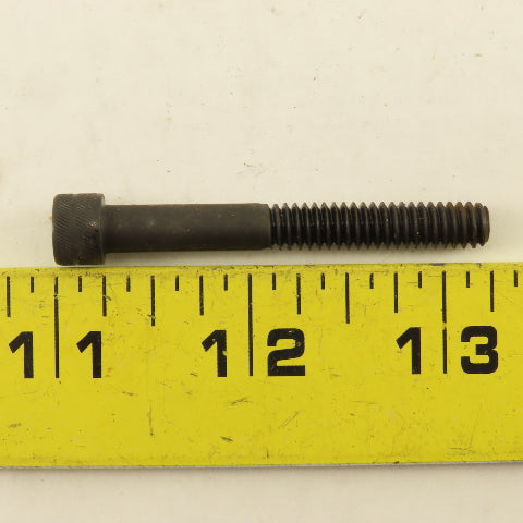 Blue Devil 1/4"-20 x 2" Socket Head Cap Screw Bolt SHCS Lot Of 95