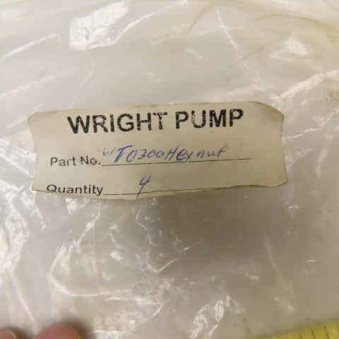 Wright Pump T0300HEXNUT 5/16-18 Stainless Steel Pump Housing Hex Nut Lot Of 4
