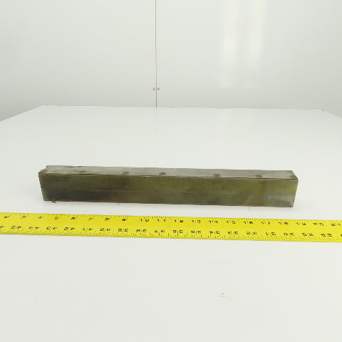 16-1/4" L x 2" W Replacement Conveyor Magnet 84LB Pull From NSM Magnettechnik