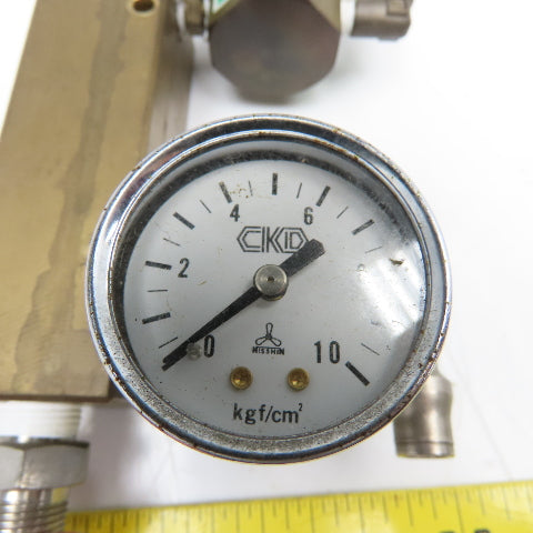CKD Wilkerson B2519-1C-N 1/4" NPT Brass Air Pressure Regulator Manifold