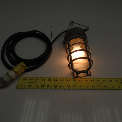 150W Damp Location Caged Safety Hanging Utility Light 16' Cord