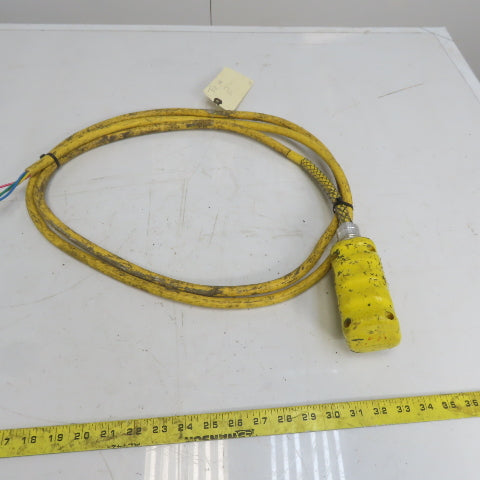 Square D BW93Y Hoist Pendant Station Control Wand W/10' Cord 3 Wire W/Ground