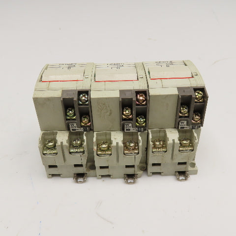 Fuji Electric CP32FS/10WD 10A Circuit Protector 250V 2 Pole Lot Of 3