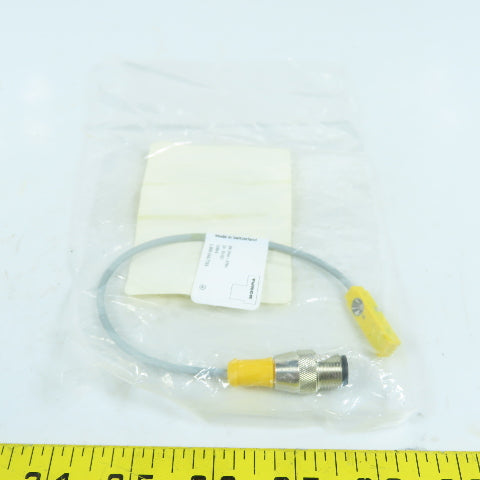 Turck BI2-Q5.5-AP6X-0.2-RS4T 1613094 Inductive Sensor 10-30VDC NEW