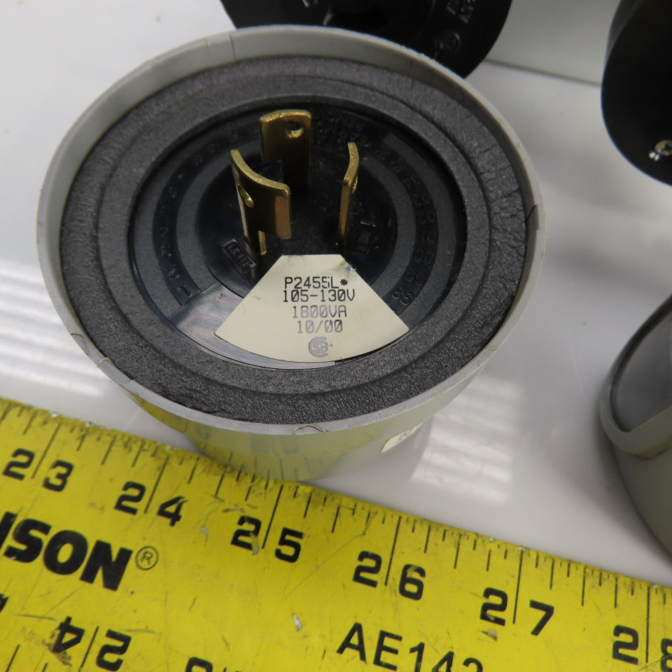 Lumatrol P2455L & P2455H-TH 120V Delayed Response Light W/ Fiberglass Enclosure