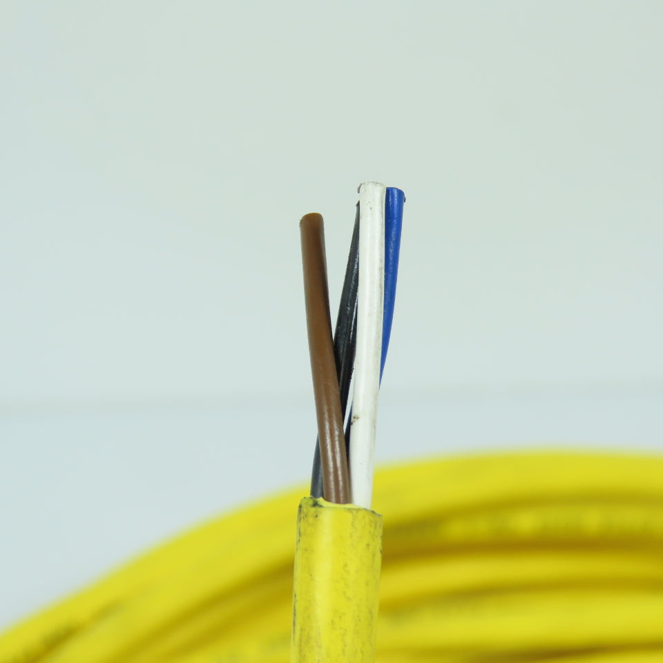 Lumberg 909602 Cable Cordset Assembly 18 AWG 4 Conductor 300V 30' Long