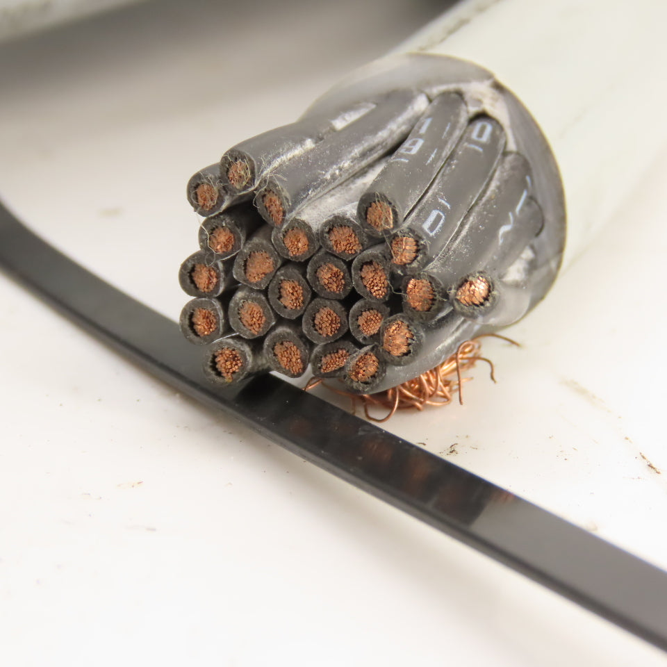 25 G 2.5 / 14 AWG 30' Long 25 Conductor 14 AWG Control Cable 600V Unshielded