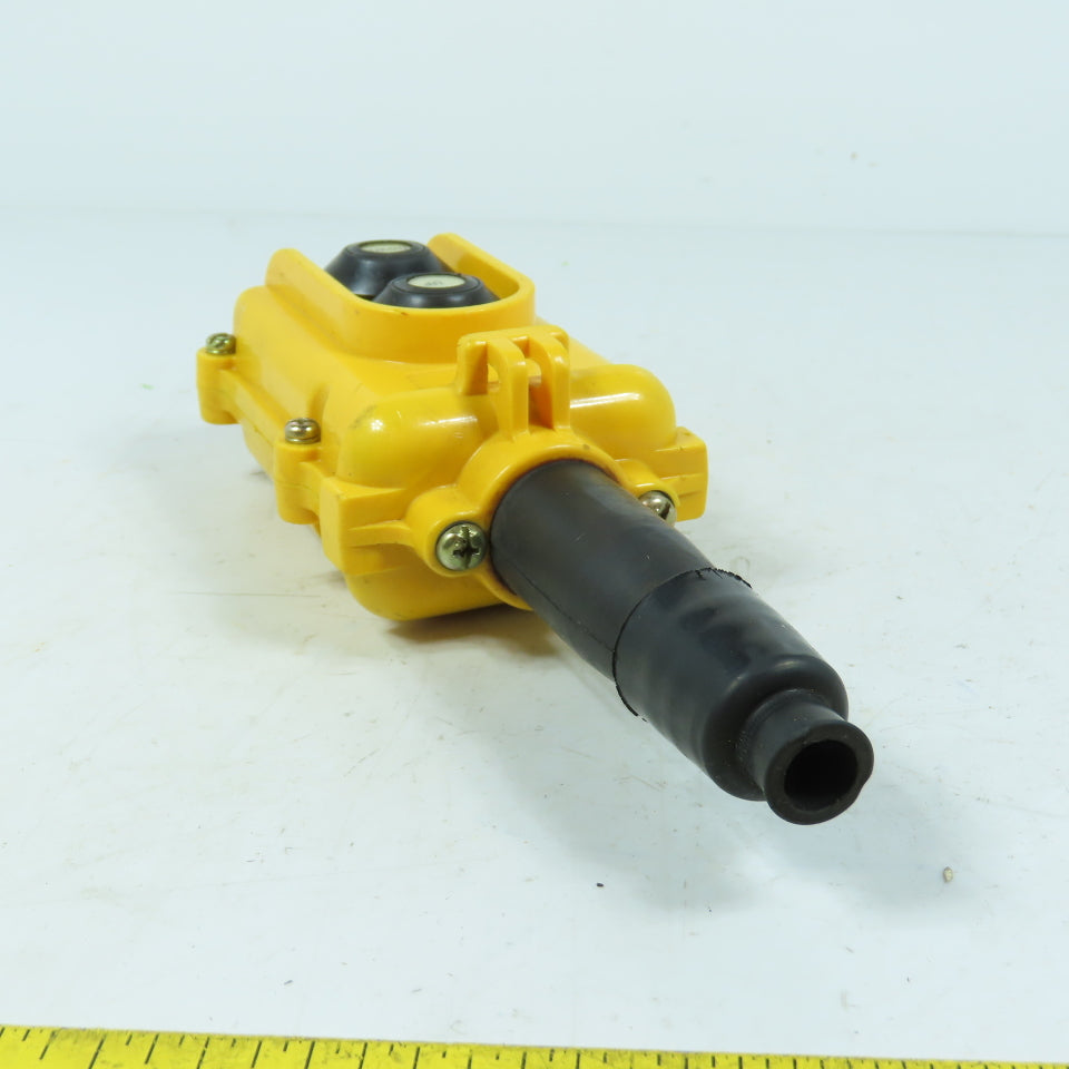 Electromotive Systems SBP 2-Button Pendant Pushbutton Station Up/Down 250V