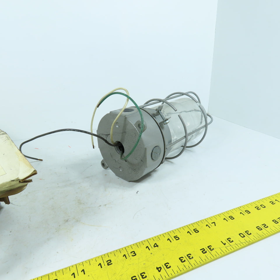 Appleton WFC1050G 100W Vaporproof Wall/Ceiling Light Fixture with Guard