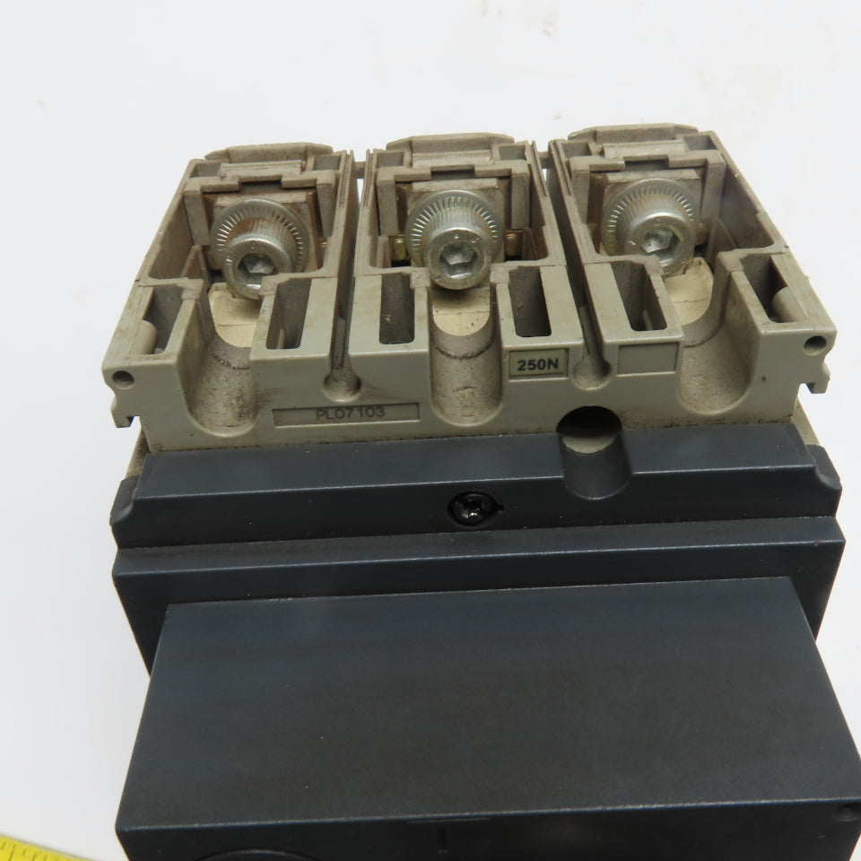 SCHNEIDER ELECTRIC DE175 175A 3-Pole Thermal Magnetic Circuit Breaker 250N