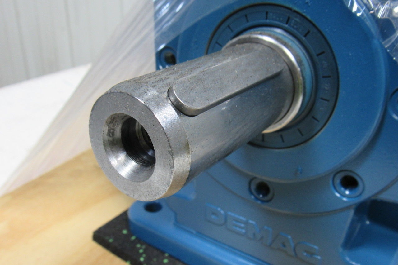 Demag Crane & Components D06 OEL:1,3L Inline Gear Motor 265/460V