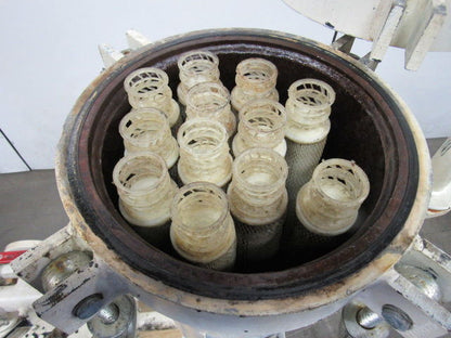 Rosedale D1212-30-2F-2-150CB-DOEVP Duplex Vessel 12 Cartridge Filter Assembly