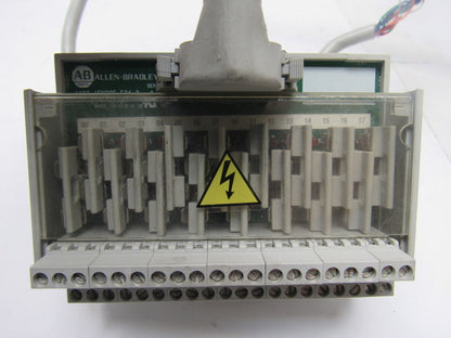 Allen-Bradley 1492-1FM20F-F24-2 Ser A 10-30V AC/DC  16 Fuse Field Module