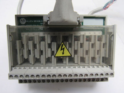 Allen-Bradley 1492-1FM20F-F24-2 Ser A 10-30V AC/DC  16 Fuse Field Module
