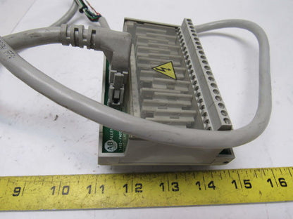 Allen-Bradley 1492-1FM20F-F24-2 Ser A 10-30V AC/DC  16 Fuse Field Module