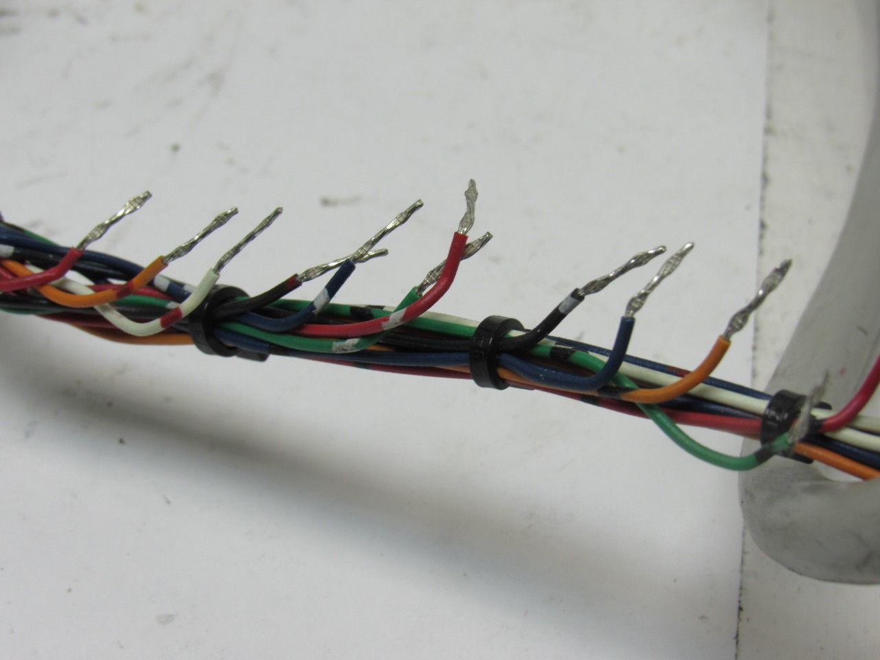 Allen-Bradley 1492-1FM20F-F24-2 Ser A 10-30V AC/DC  16 Fuse Field Module