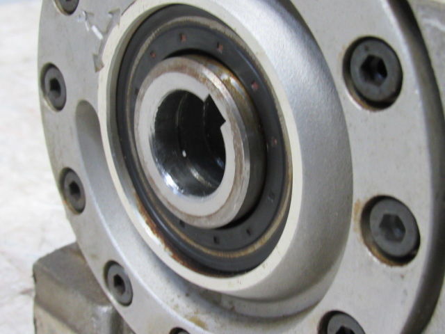Atlanta 58 44 320 19.5:1 Gear Reducer 3.83kW 4000U/min 12.6Kg 28mm Hollow Output