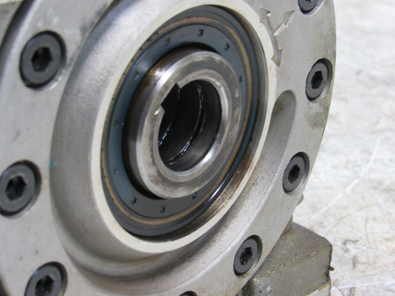 Atlanta 58 44 320 19.5:1 Gear Reducer 3.83kW 4000U/min 12.6Kg 28mm Hollow Output