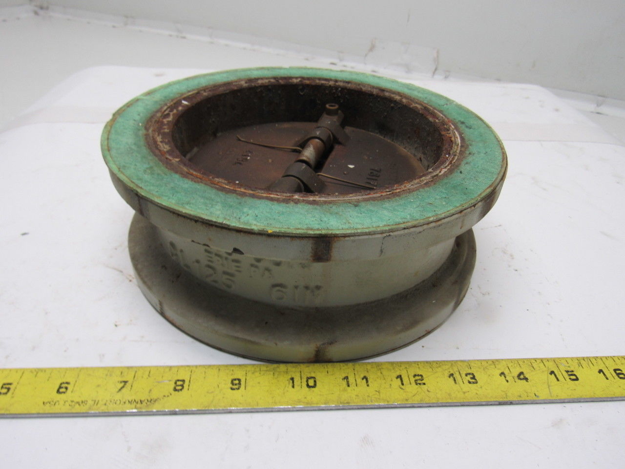 Technochyeck 6" 5050 Wafer Check Valve
