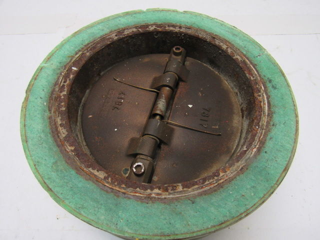 Technochyeck 6" 5050 Wafer Check Valve