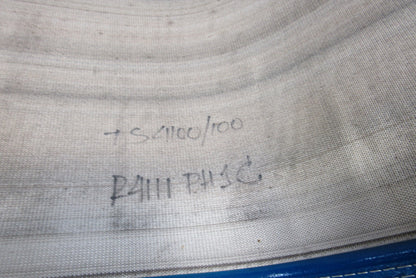 Transnorm TS4100/100 96 GSTR 30" Wide x 119"  Flat Merge Conveyor Belt Pin-N-Go