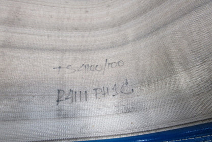 Transnorm TS4100/100 96 GSTR 30" Wide x 119"  Flat Merge Conveyor Belt Pin-N-Go