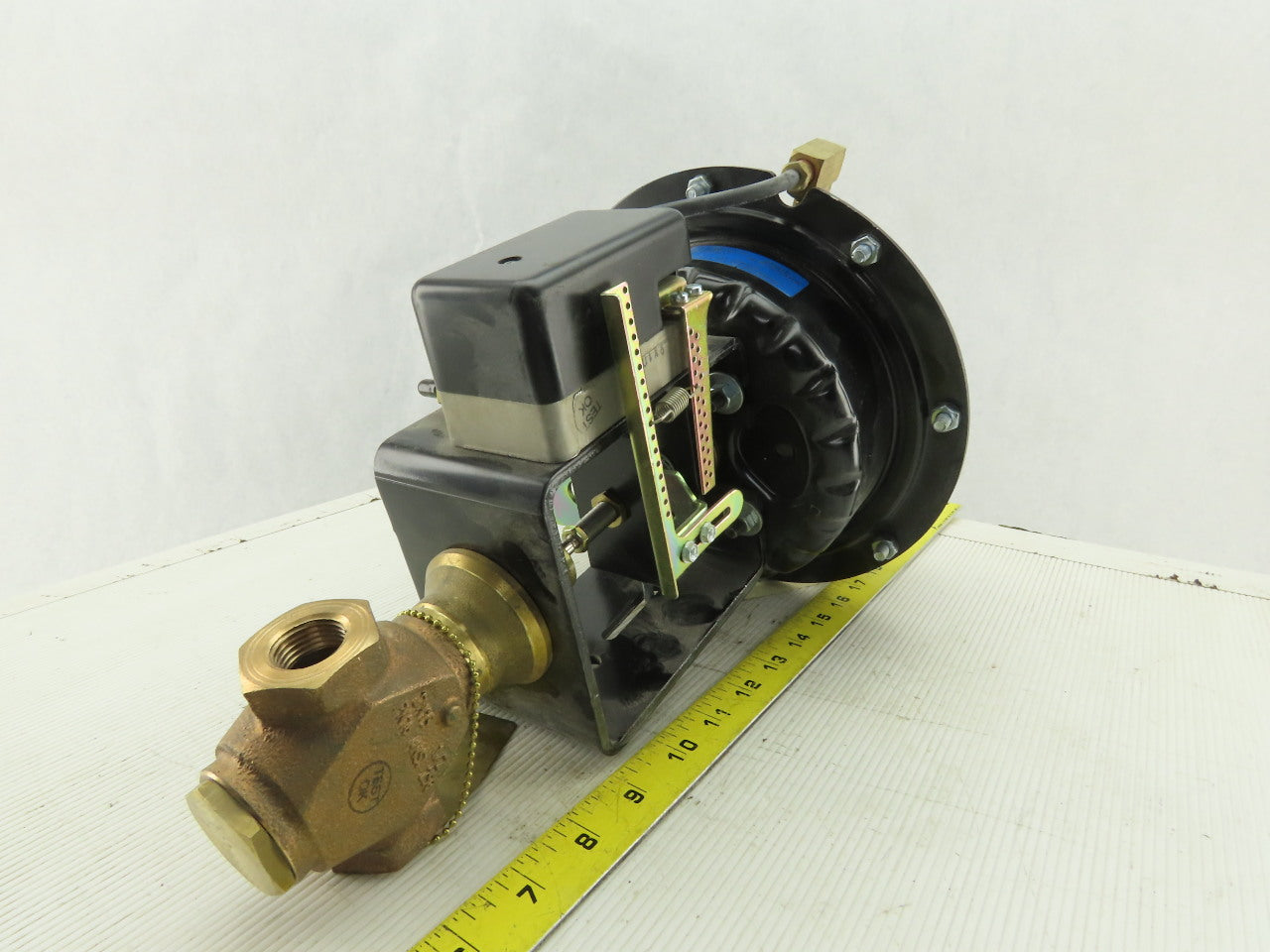 JOHNSON CONTROLS MP821D Pneumatic Valve Actuator,4 to 8 Spring 1/2 NPT Bronze
