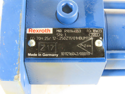 Rexroth CG 70H 25/ 12-.250 25mm Bore 250mm Double Rod Hydraulic Cylinder