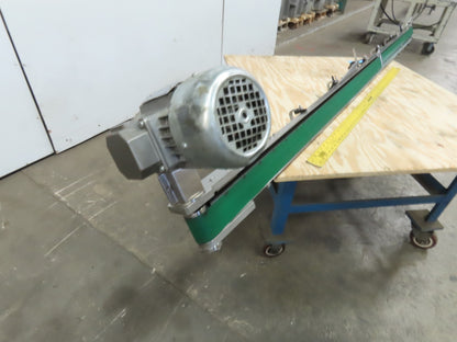 60 x 2500mm Narrow Width Modular Stainless Steel Flat Belt Conveyor 30 FPM