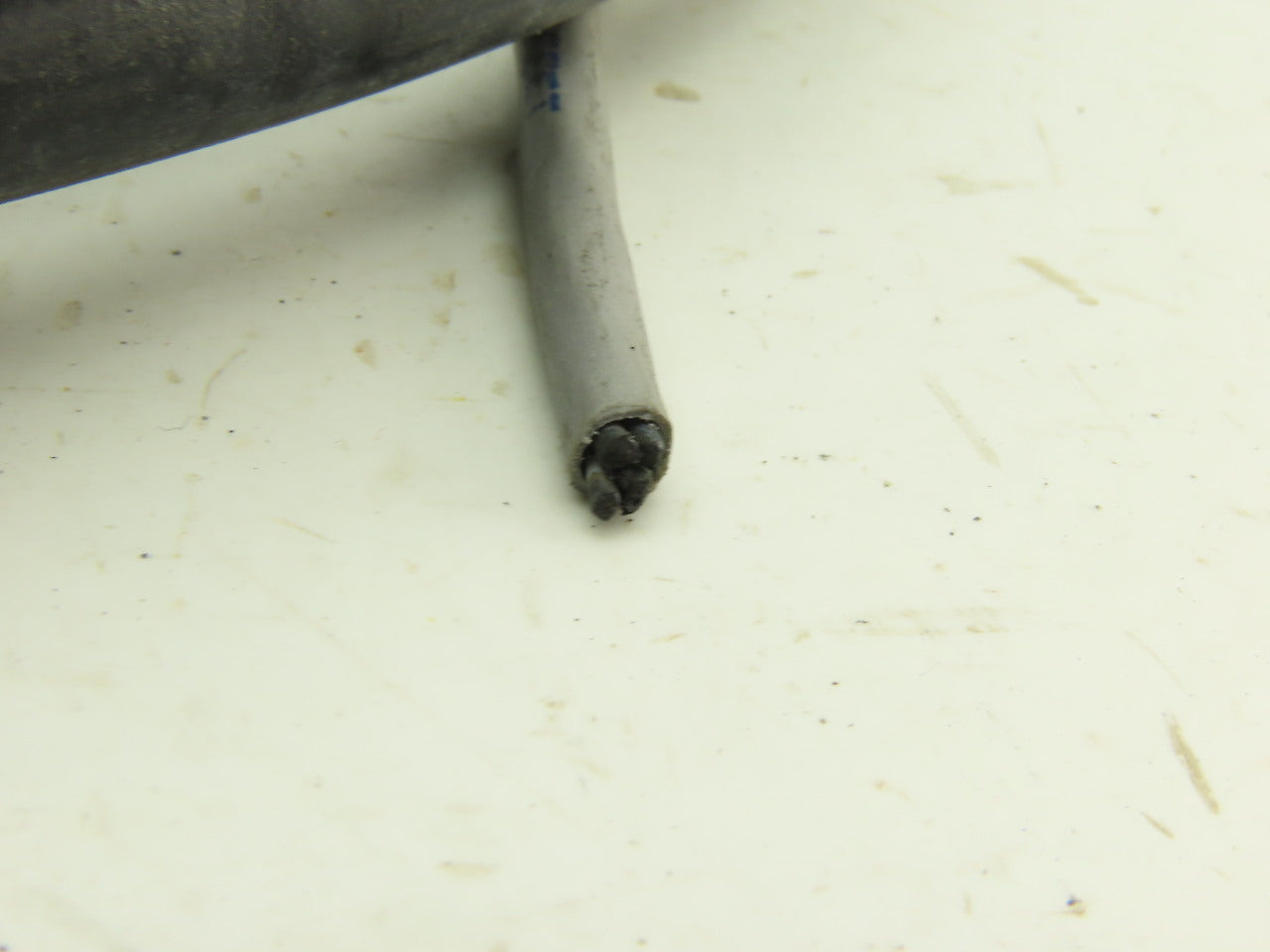 Allen Bradley Encoder Cable 4 in Circular Connector 12'