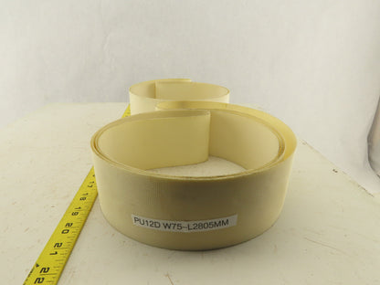 PH-12D 75x2805mm Interwoven Single Ply Endless Conveyor Belt