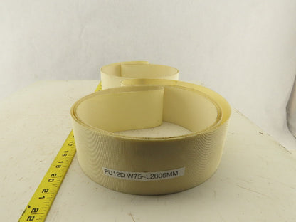 PH-12D 75x2805mm Interwoven Single Ply Endless Conveyor Belt