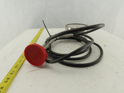 Anderson 37-00 30 PSI/VAC Stainless Steel Sanitary Pressure Gauge 120" Probe