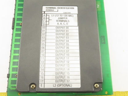 Allen Bradley 1771-OAD/C 10-138V REV F01 Series C  AC Output Module
