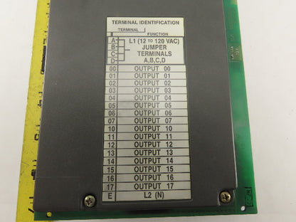 Allen Bradley 1771-OAD 12-120V AC Output Module