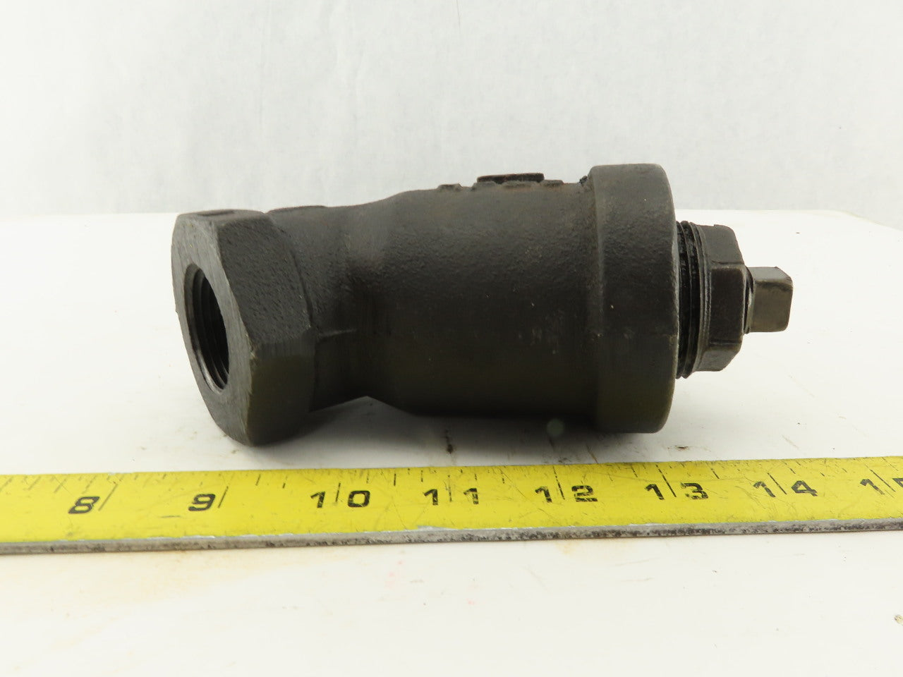 RP & C 1" NPT Y Strainer