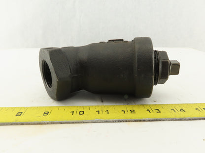 RP & C 1" NPT Y Strainer