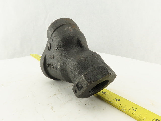 RP & C 1" NPT Y Strainer