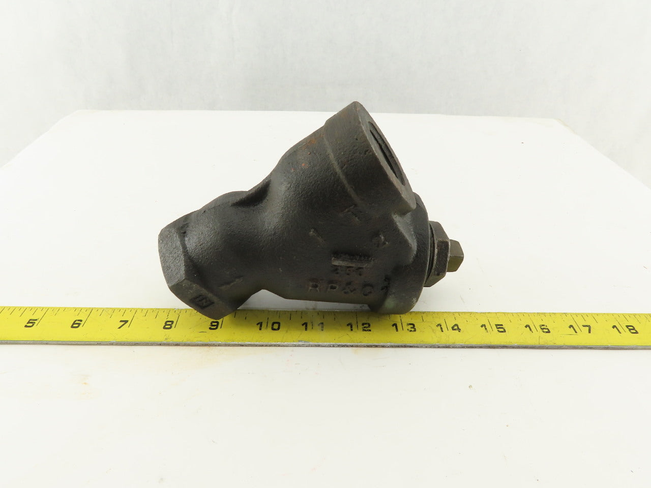RP & C 1" NPT Y Strainer