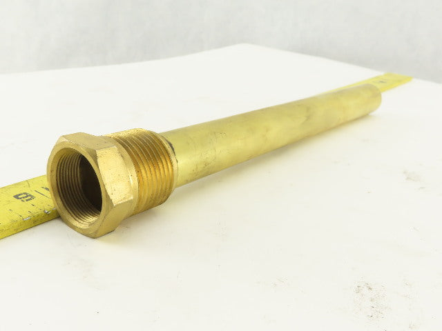 Danfoss 3N0050 AVTA/B Brass Thermowell 3/4" BSP 9" OAL