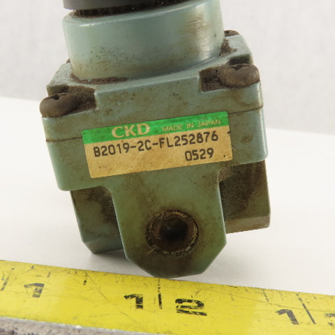 CKD B2019-2C-FL252876 1/4 NPT Air Pressure Regulator