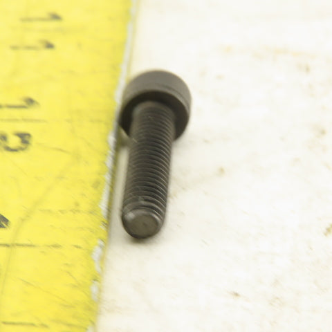 M5-0.8 x 20mm Socket Head Cap Screw SHCS Lot of 200