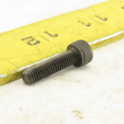 M5-0.8 x 20mm Socket Head Cap Screw SHCS Lot of 200