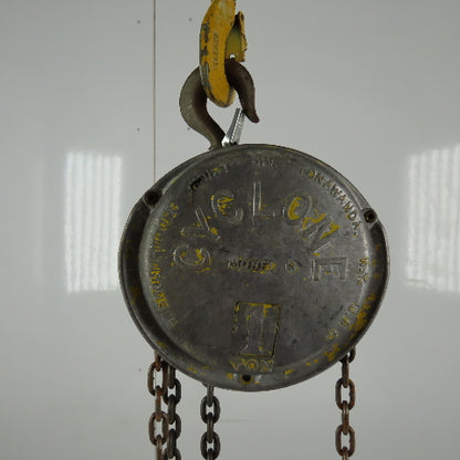 CM Model M Cyclone 1 Ton Manual Chain Fall Hoist 30' Lift 10' Pendant Chain