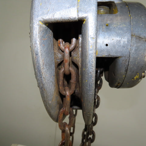 CM Model M Cyclone 1 Ton Manual Chain Fall Hoist 30' Lift 10' Pendant Chain