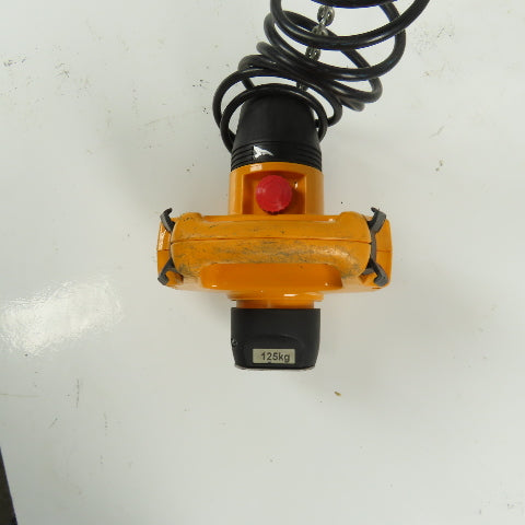 Demag DCMS-PRO 1-125 1/1 H2.8 VS30-30 275LB Electric Hoist 10' Lift 460V 3Ph