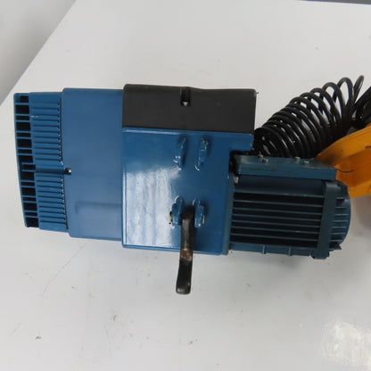 Demag DCMS-PRO 1-125 1/1 H2.8 VS30-30 275LB Electric Hoist 15' Lift 460V 3Ph