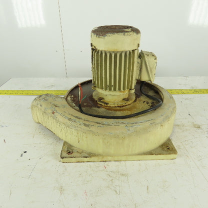 Long Tang AEVF 1/2Hp 3370 RPM 230/460V Bottom Shallow Suction Centrifugal Pump