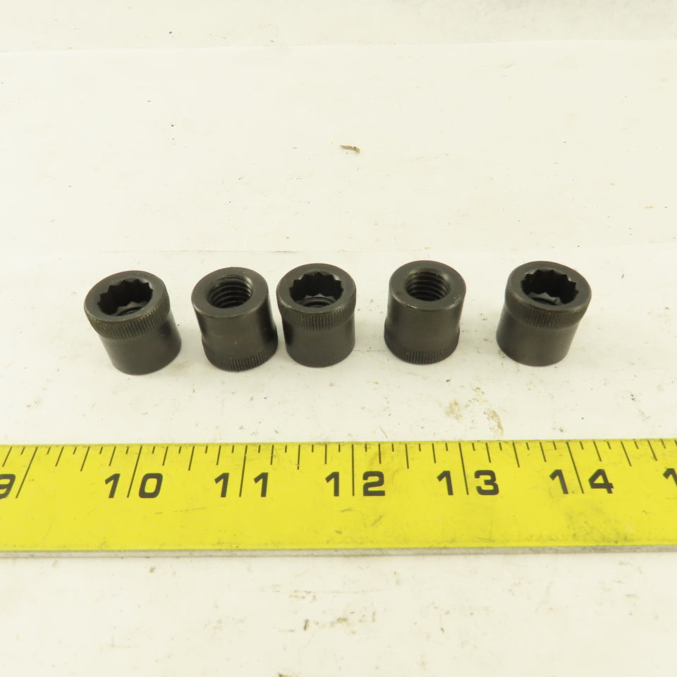 M12-1.75 Internal Threaded Steel Socket Allen Nut Lot Of 5